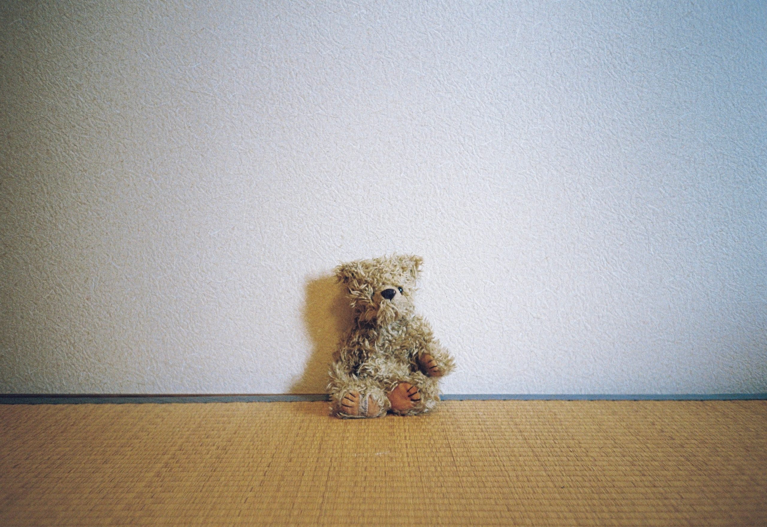 A small, well-worn tan teddy bear with leather paws sits alone, dwarfed by the blank wall above it.