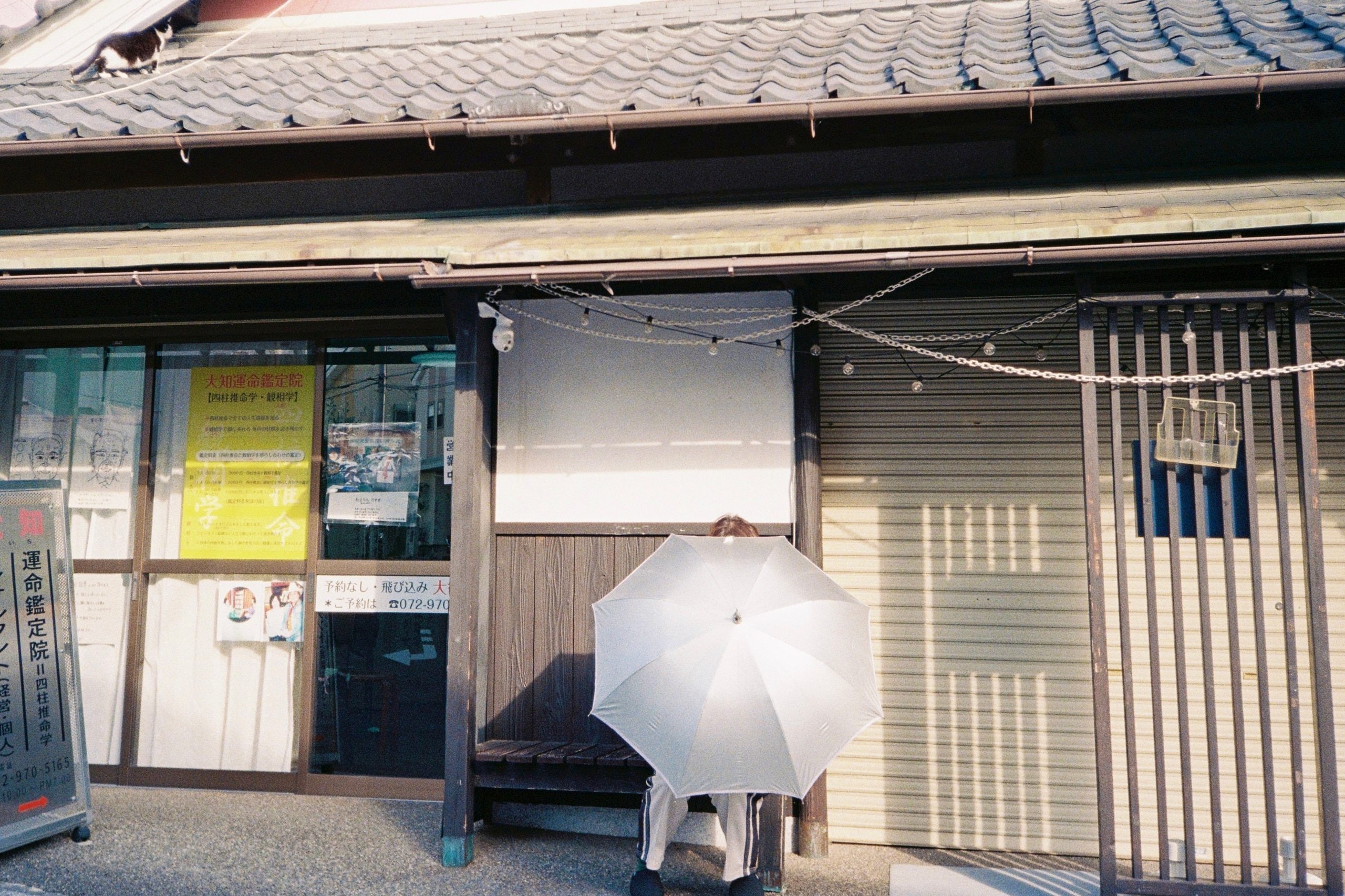 A person almost hidden behind an open umbrella stands before a fortune-teller's shopfront; a cat crosses the roof tiles above.