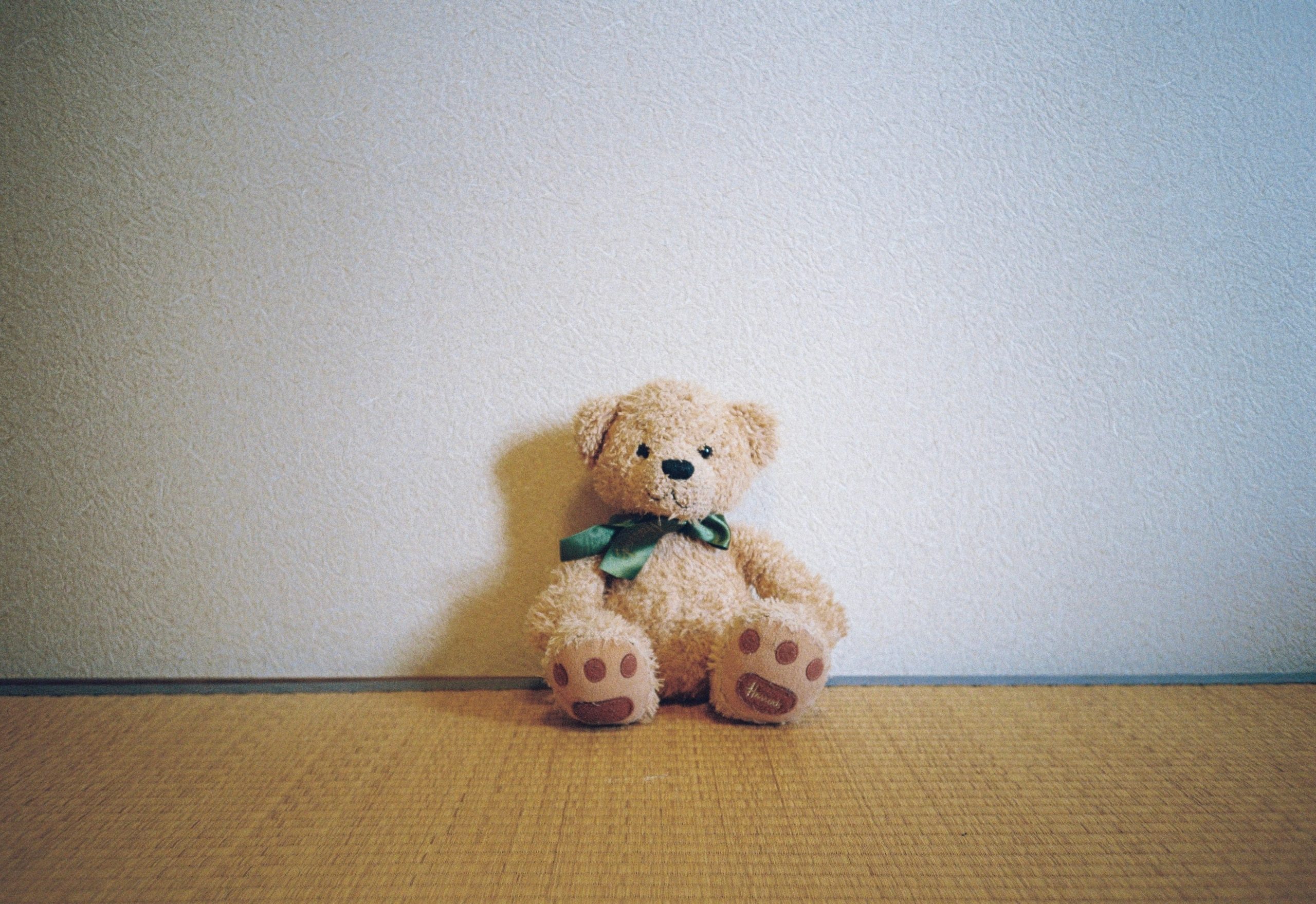 A tan teddy bear with a green satin bow sits with its paw pads facing the camera.