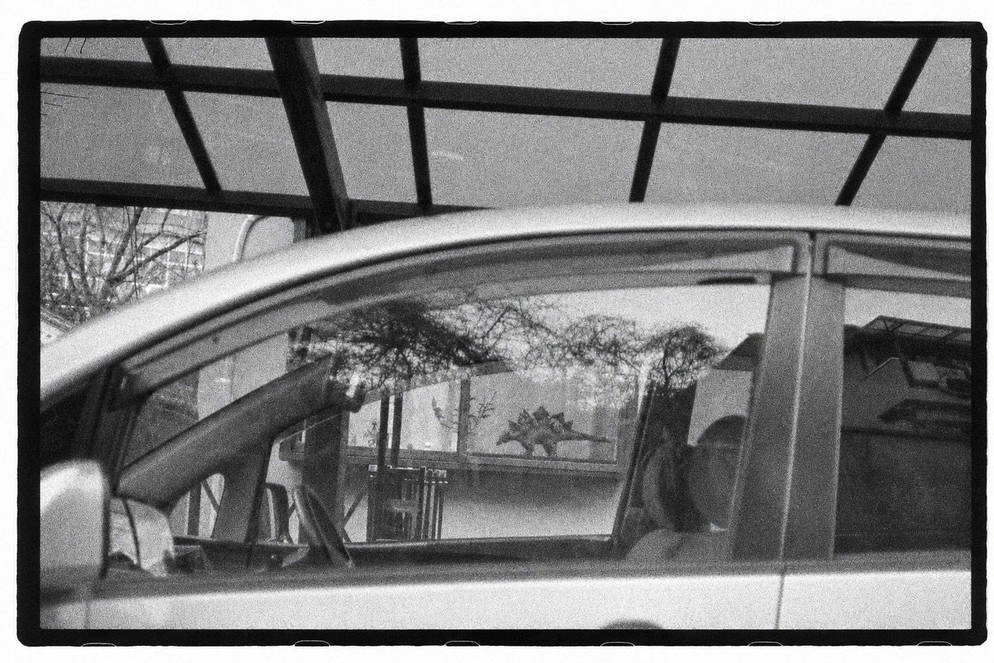 A car window reflecting an angled greenhouse roof and a toy stegosaurus on a shelf inside.