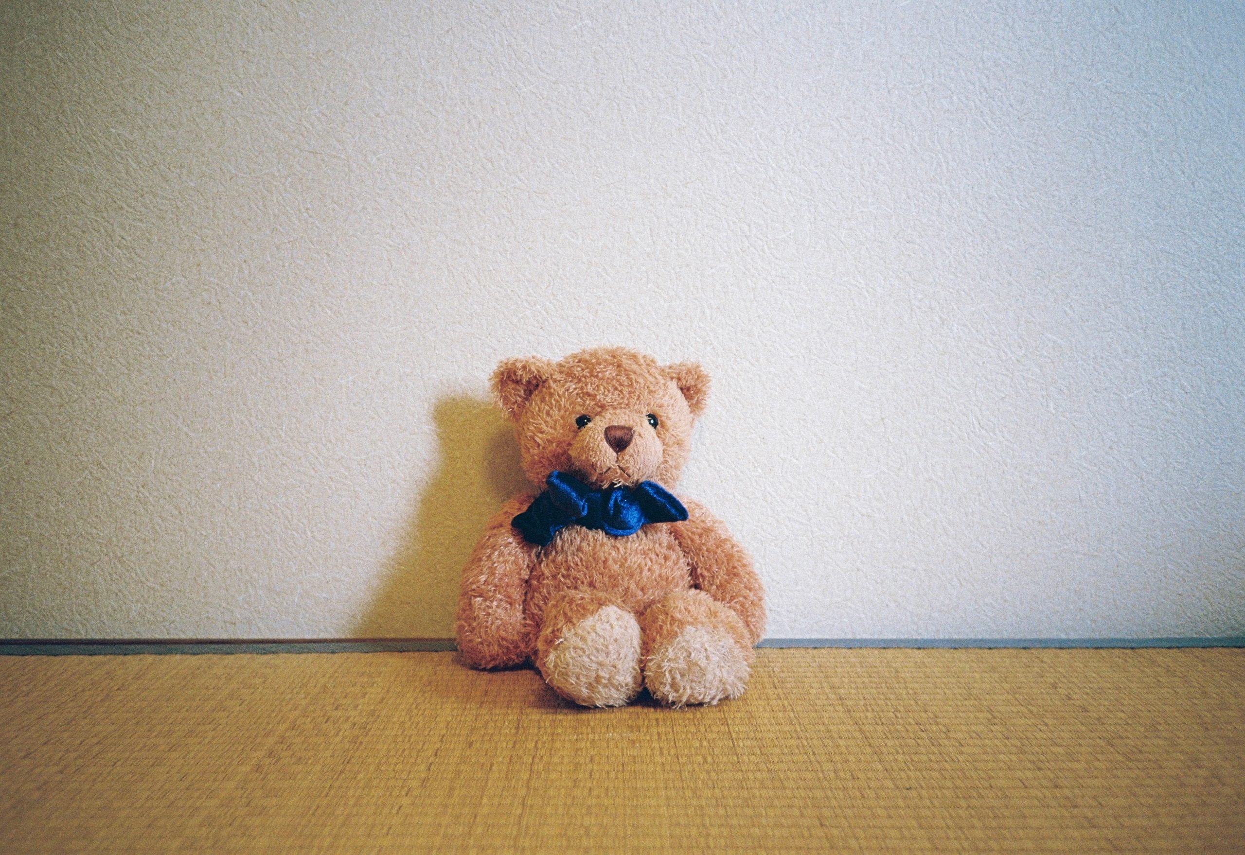 A tan teddy bear with a blue ribbon sits slightly off-center, its shadow falling on the wall behind it.