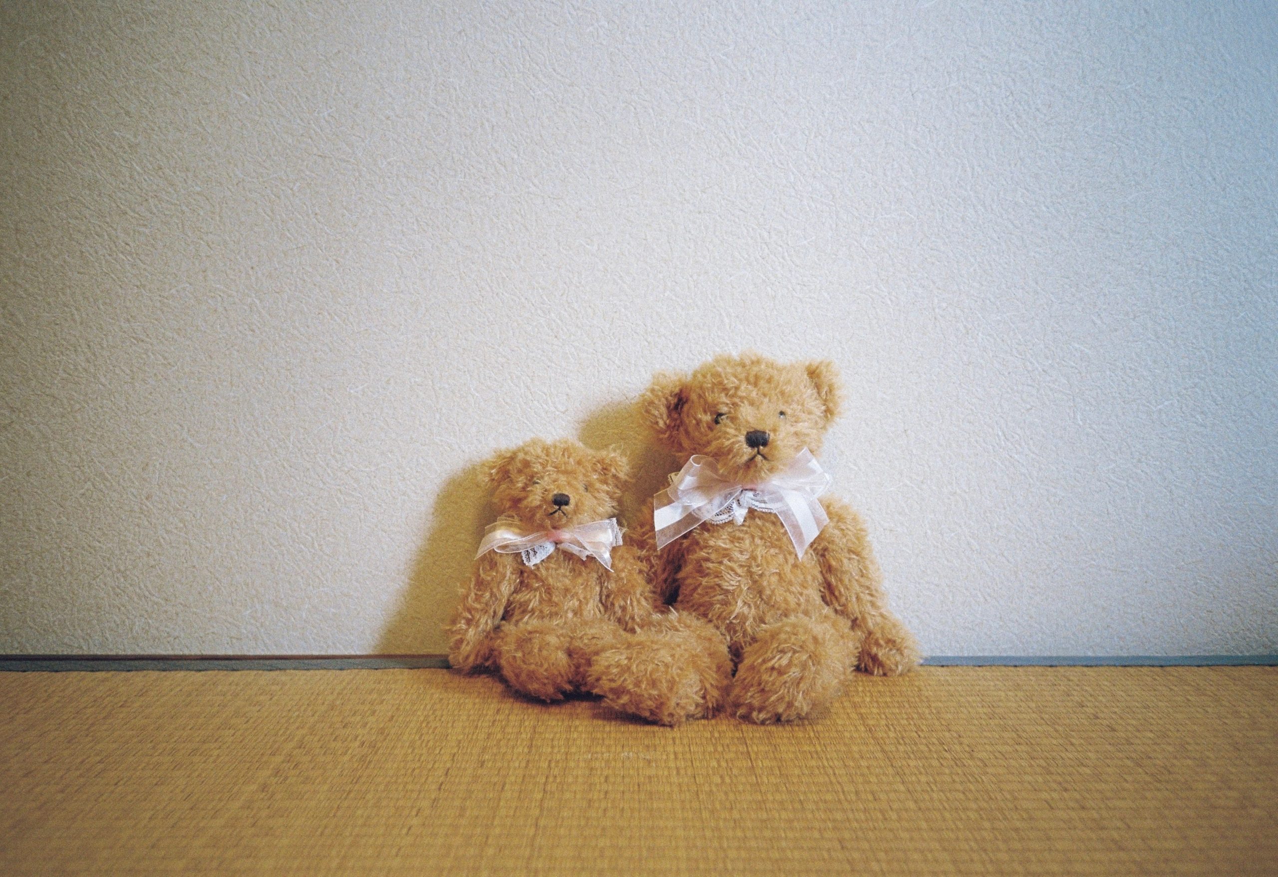 Two golden teddy bears of different sizes, each with a lace bow, sit close together against the wall.