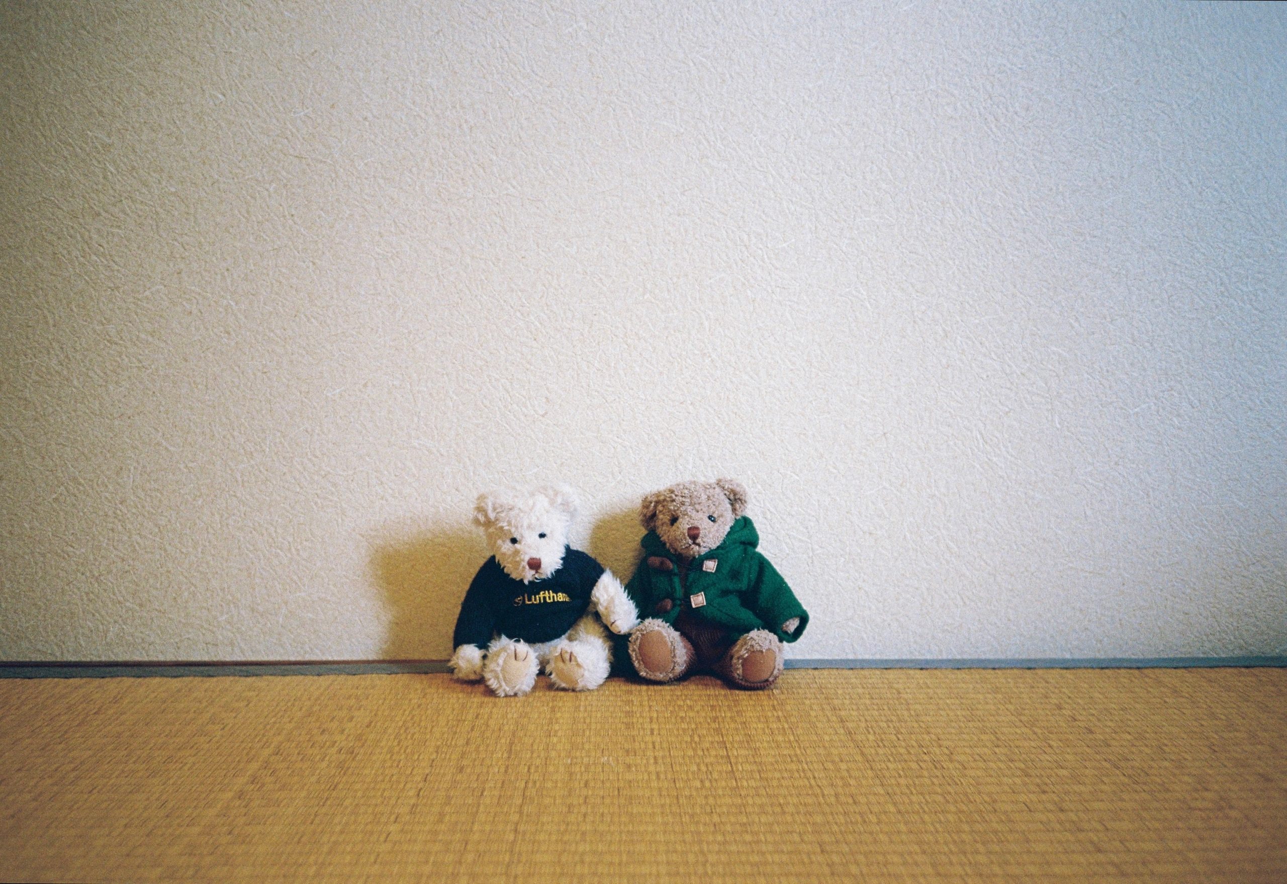 A white bear in a navy Lufthansa sweater sits beside a tan bear in a green duffle coat.