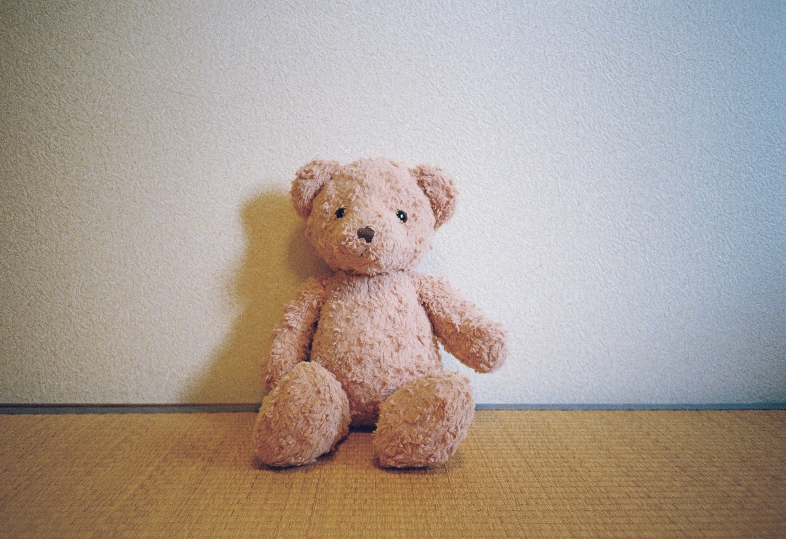 A pale rose-colored teddy bear sits with its head tilted slightly, catching the light from one side.
