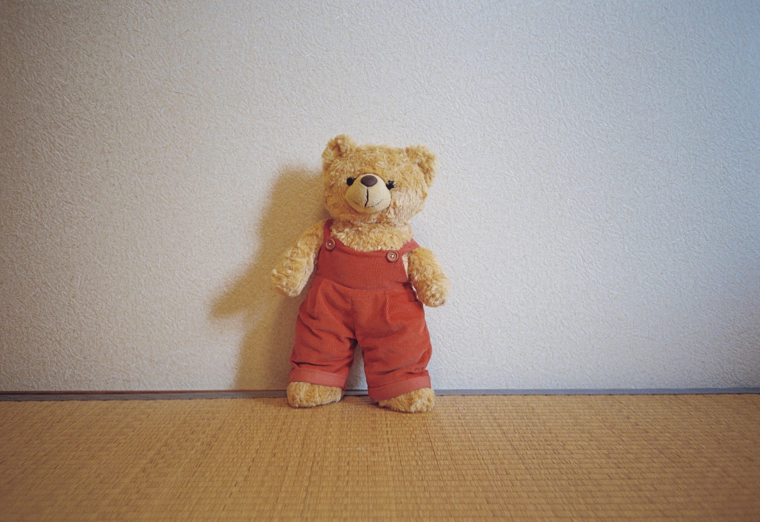 A golden teddy bear in red corduroy overalls stands upright against the wall.