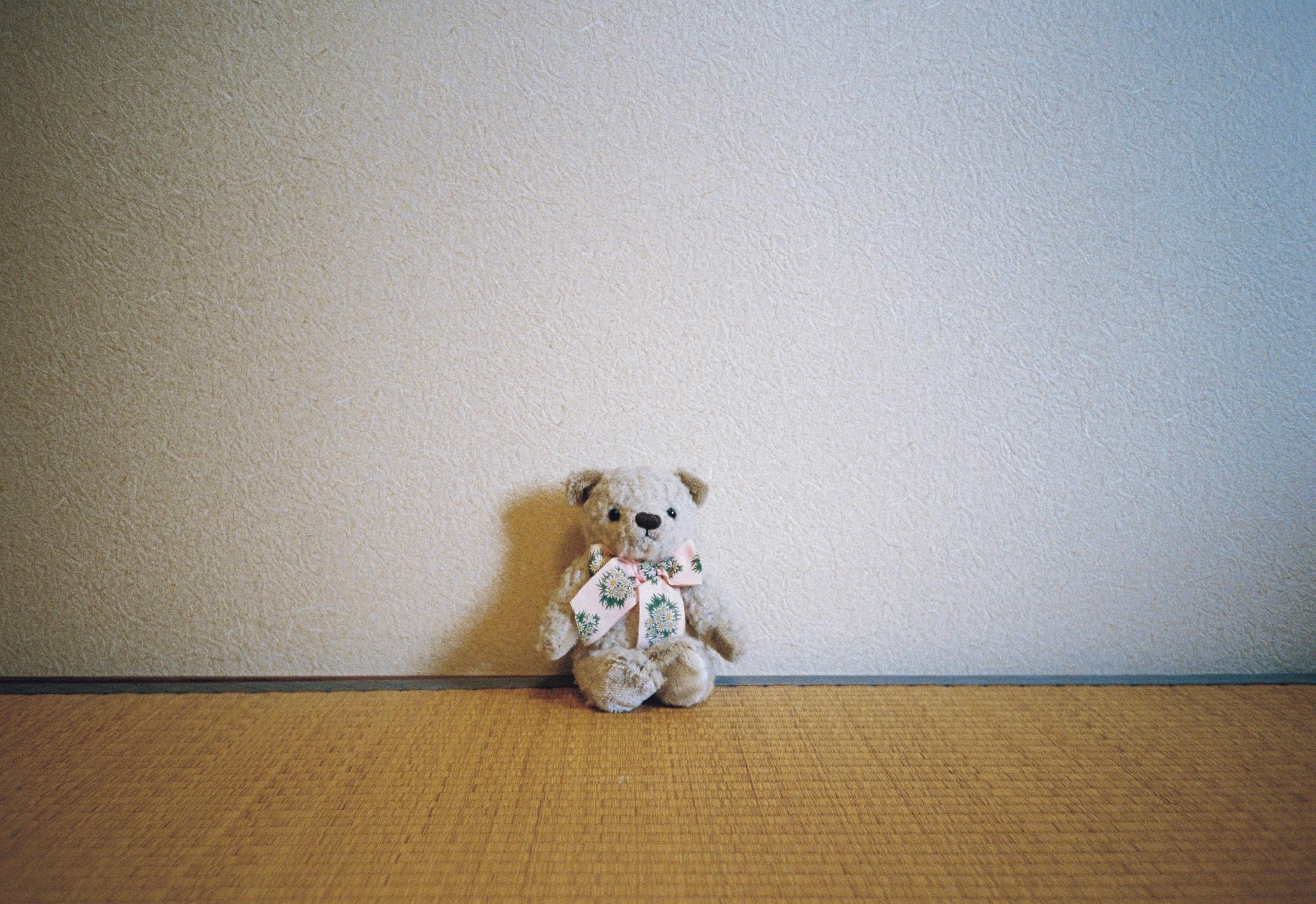 A small pale bear with a floral ribbon sits low in the frame, most of the wall left empty above it.