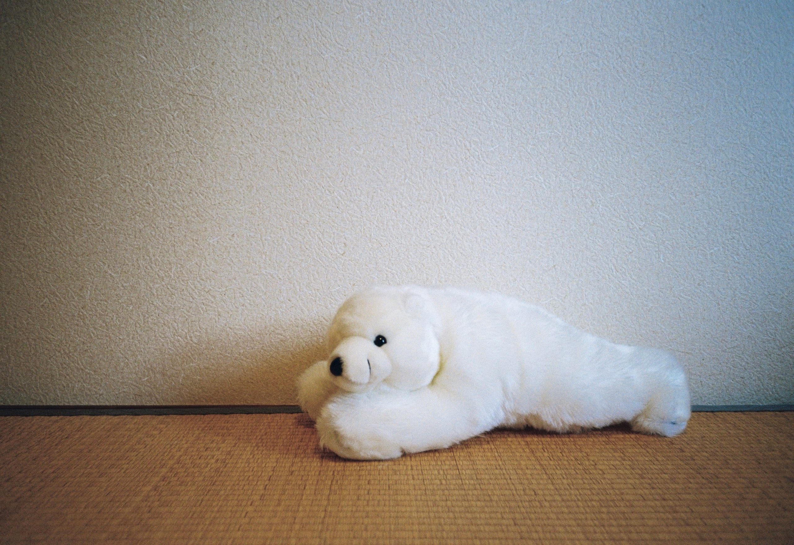 A white plush seal or bear lies on its side, stretched out low along the tatami floor.