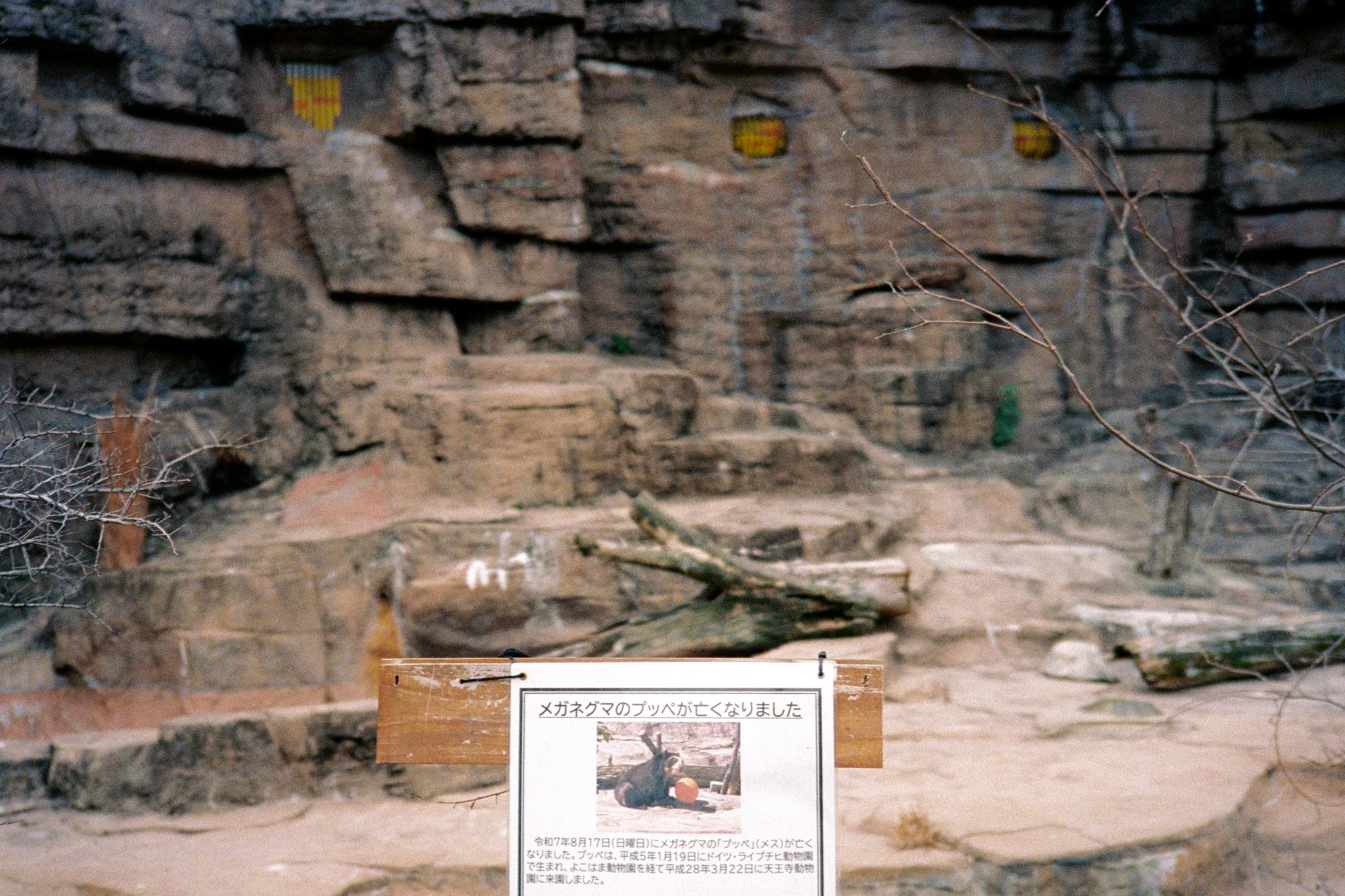 An empty zoo enclosure with a printed notice announcing the resident spectacled bear's death.