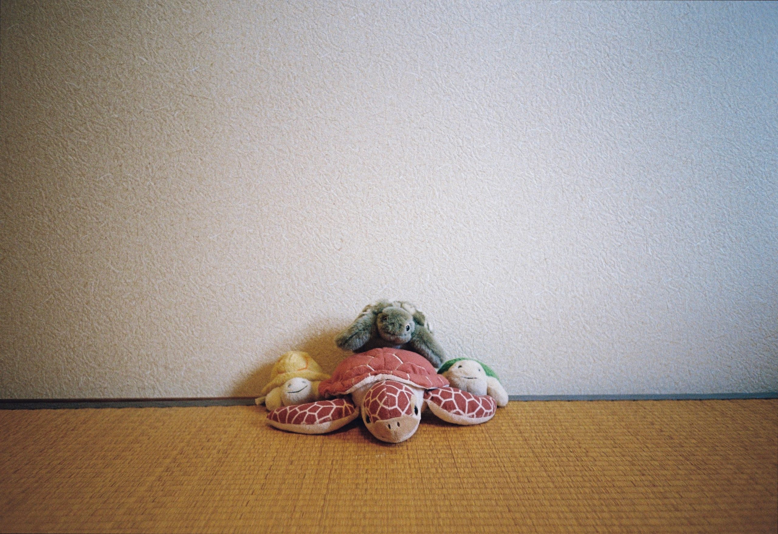 A cluster of plush turtles in yellow, red, and green shells huddle together beneath a small grey rabbit.