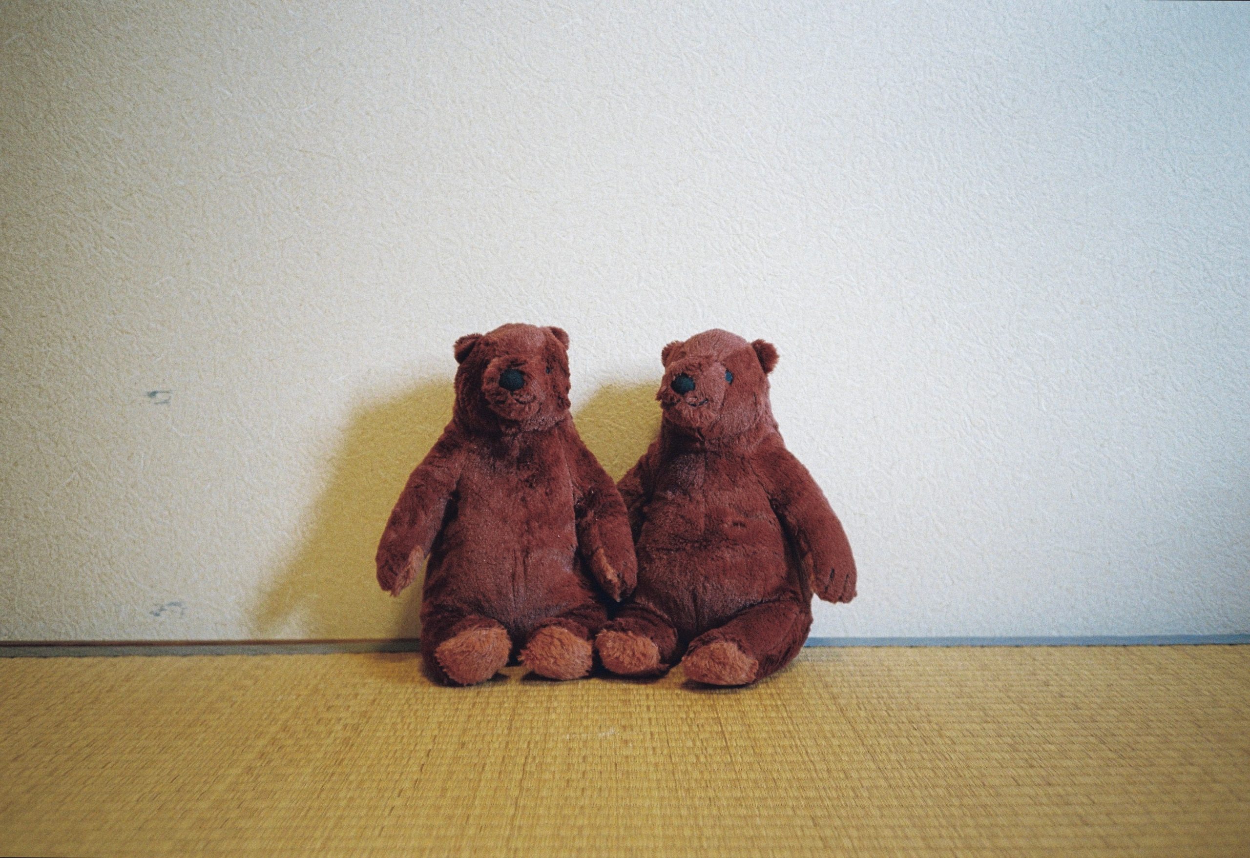Two matching reddish-brown teddy bears sit side by side, paws touching, against the wall.