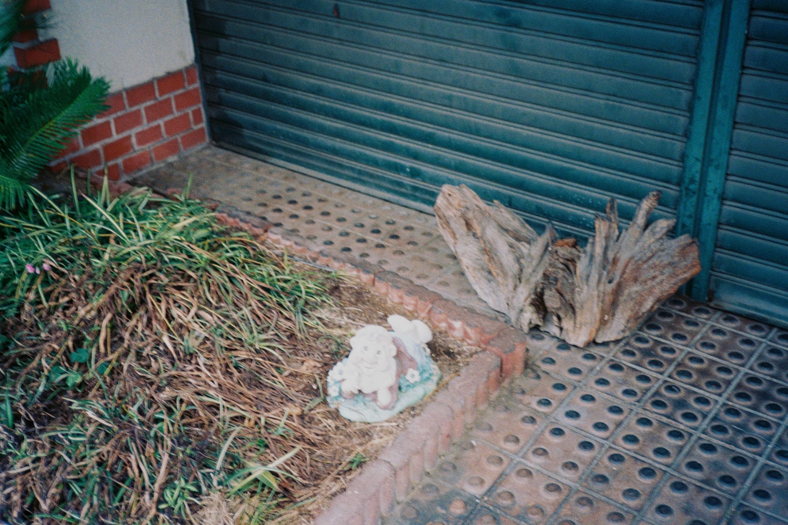A small garden gnome figurine and a driftwood root sit beside a shuttered storefront.