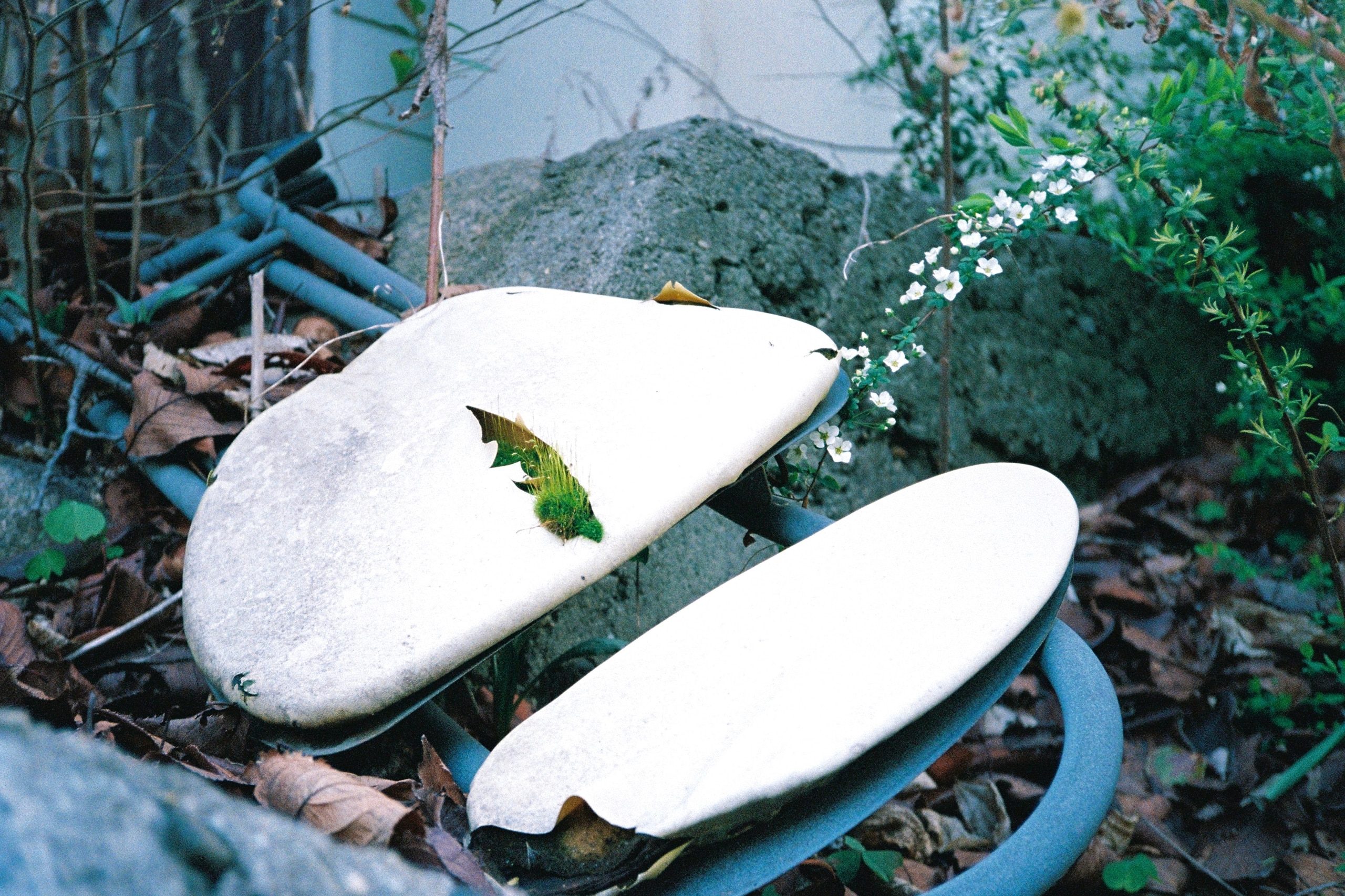 Discarded plastic seat covers with peeling vinyl surfaces, moss growing through, among fallen leaves.