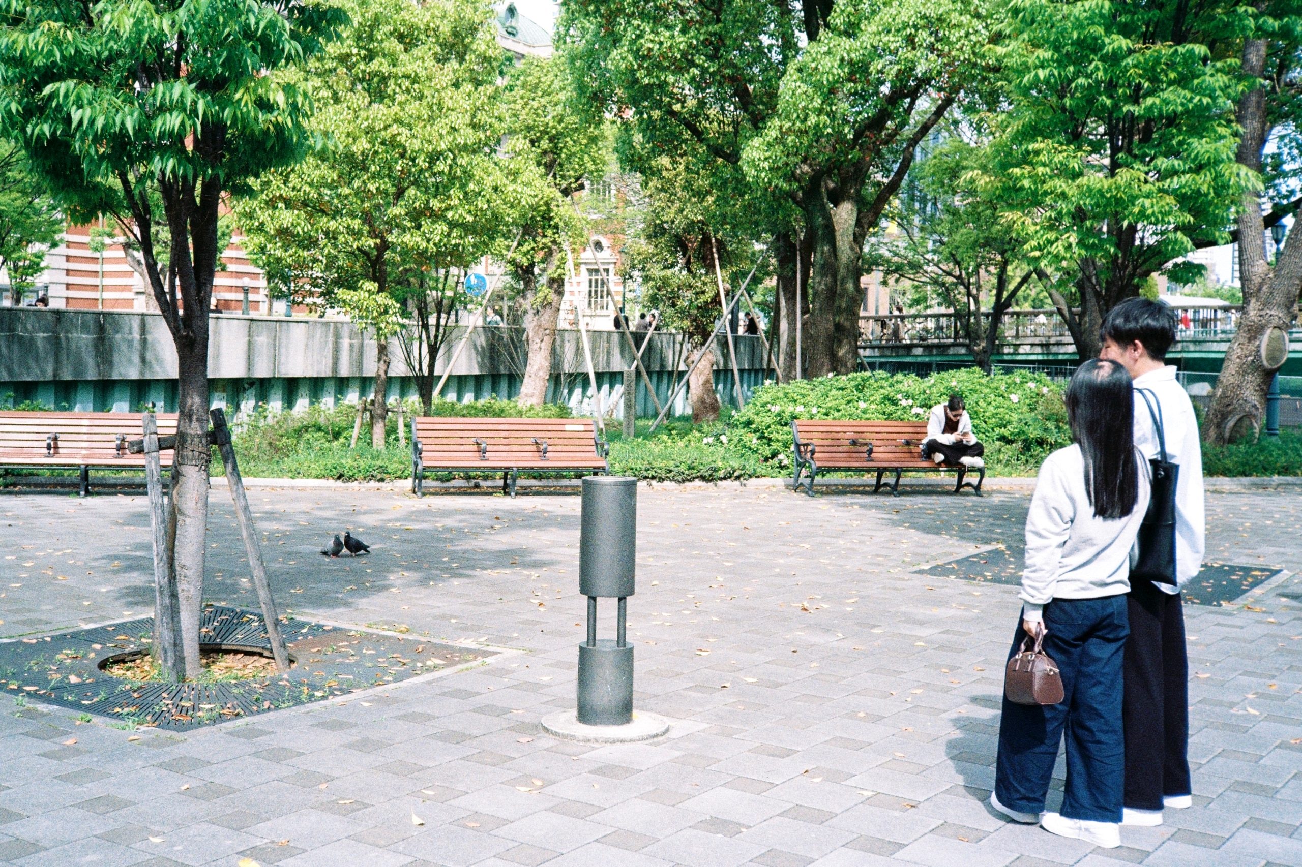 A park plaza with benches and pigeons; a couple watches a figure sitting alone in the distance.